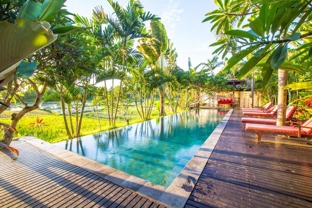 Bali Harmony Villa Ubud Zewnętrze zdjęcie
