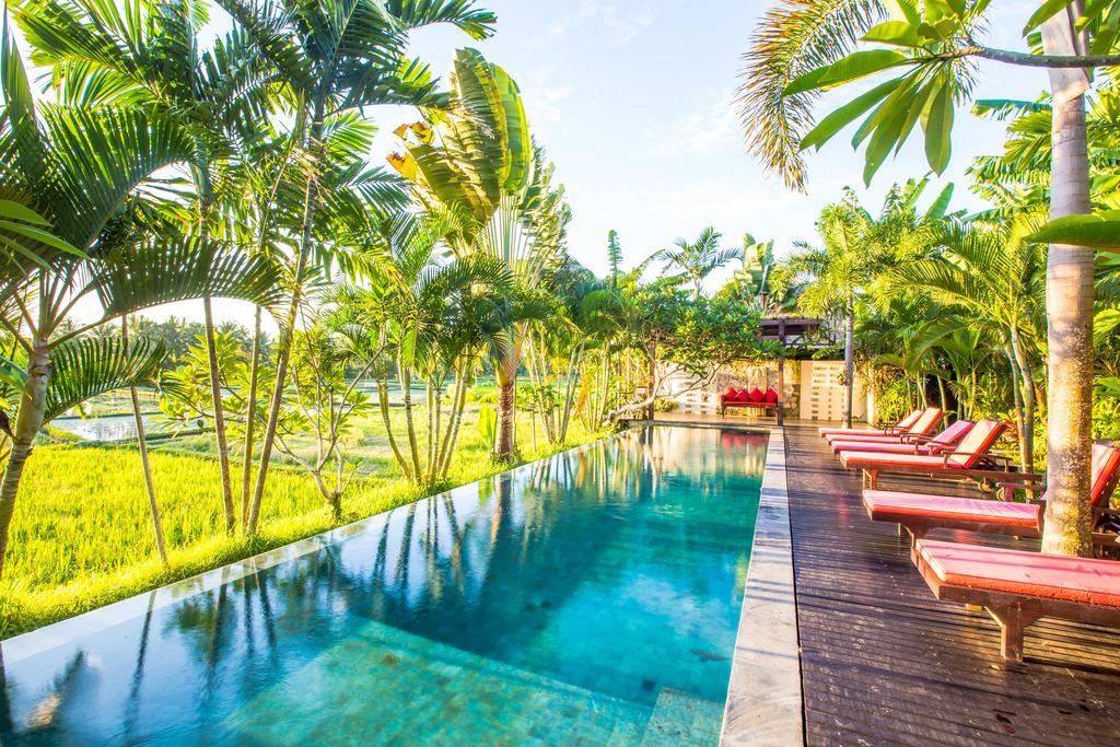Bali Harmony Villa Ubud Zewnętrze zdjęcie