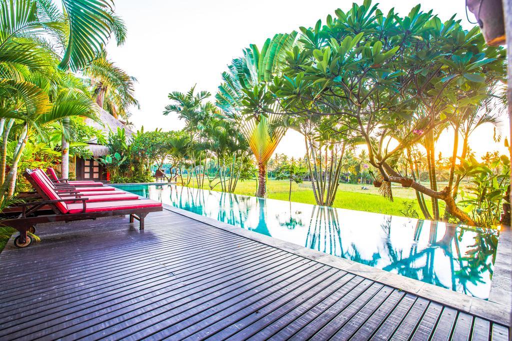 Bali Harmony Villa Ubud Zewnętrze zdjęcie