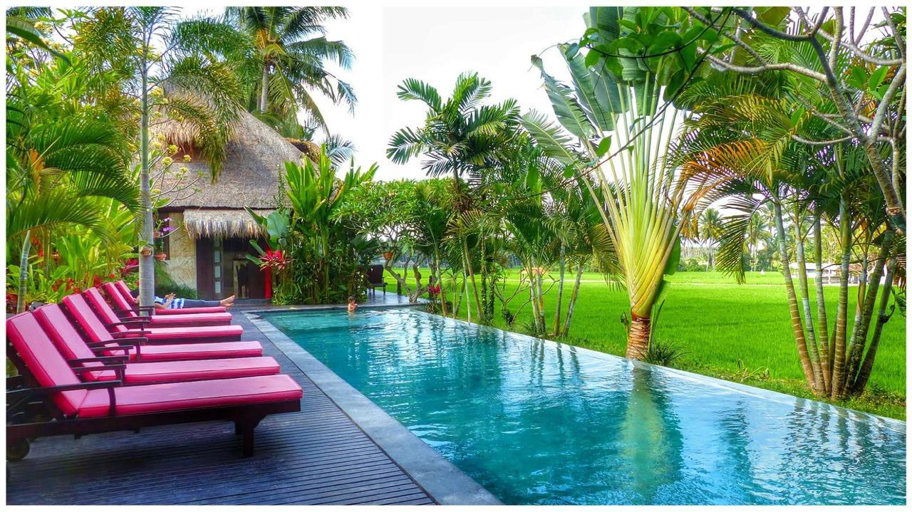 Bali Harmony Villa Ubud Zewnętrze zdjęcie