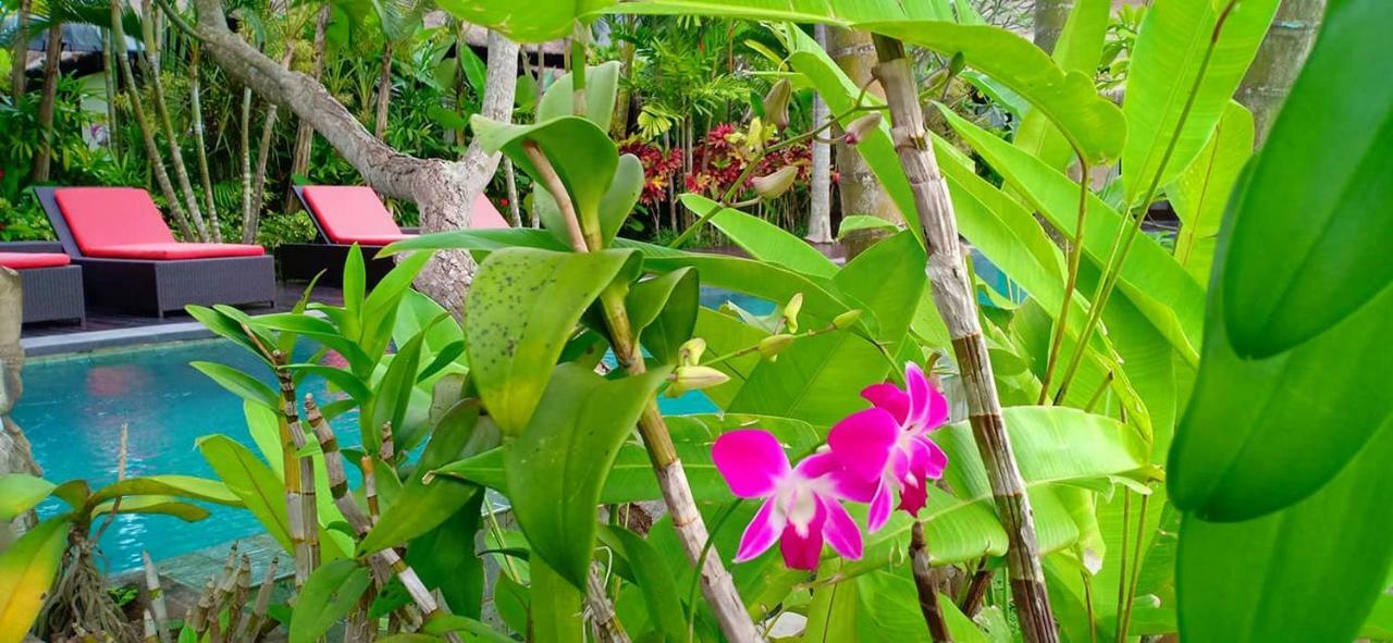 Bali Harmony Villa Ubud Zewnętrze zdjęcie