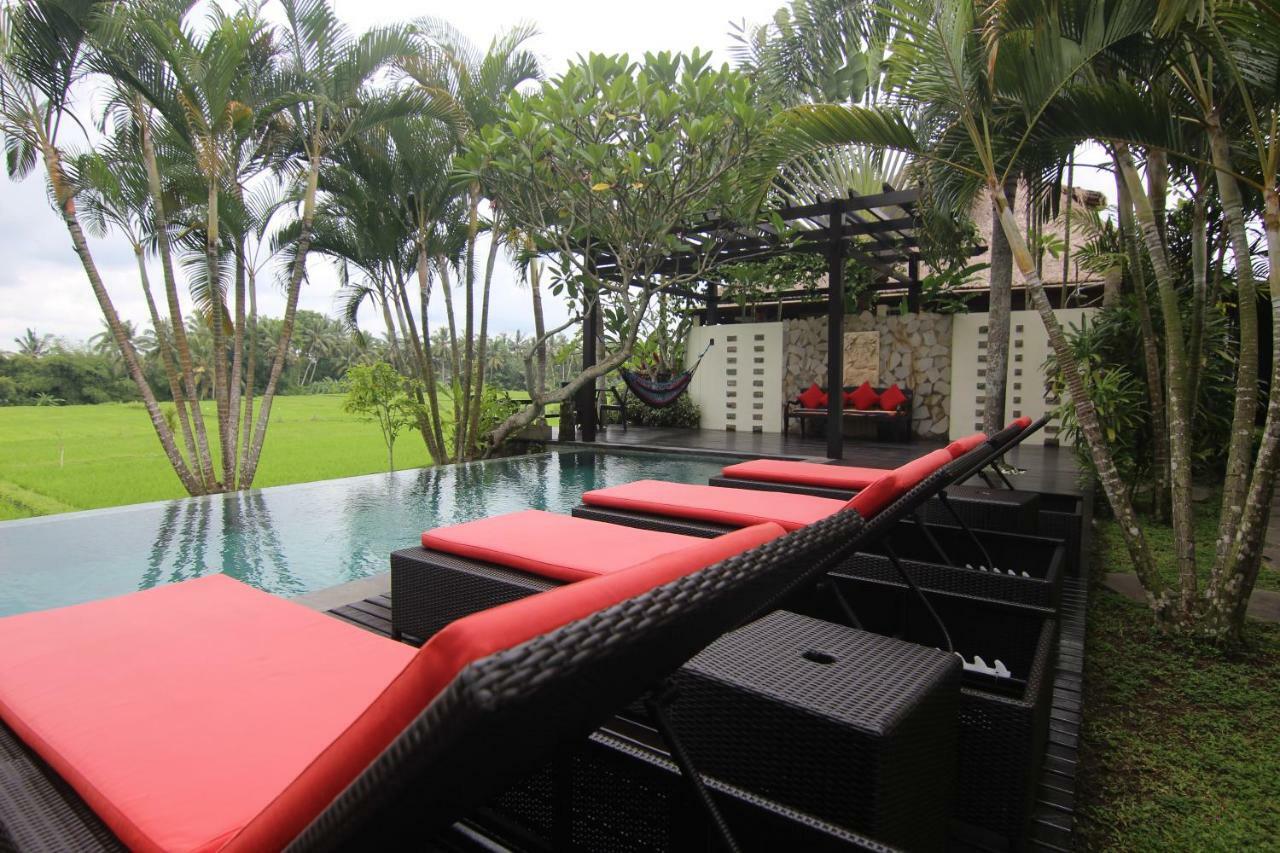 Bali Harmony Villa Ubud Zewnętrze zdjęcie
